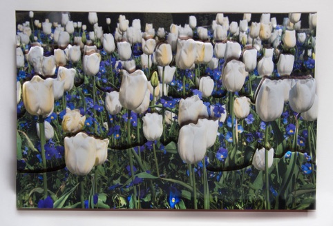 Spring Tulips Collage
“Spring is in the Air”
Pacific Art League
April 2015