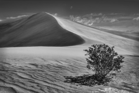 Big Dunes #2, Nevada
"The Great American West"
Pacific Art League
July 2018