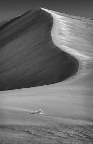 Big Dunes
"Photography and the Creative Eye"
Pacific Art League
June 2018