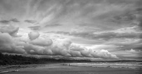 Vancouver Island Beach
“Landscapes, Seascapes, and Urbanscapes” Pacific Art League
October 2013