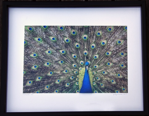 Peacock 3D
"Works on Paper"
Pacific Art league Feb.-March 2018