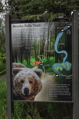 Trail to Brooks Falls
