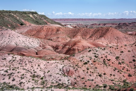 Painted Desert area in the north part of the park